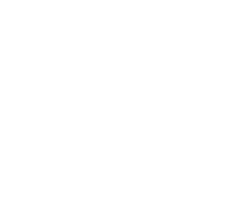 Beach Fire Guy